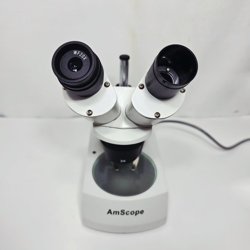 Amscope stereo microscope - microscope, with